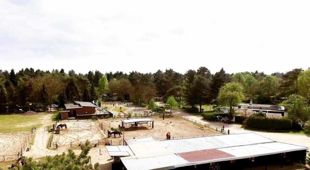 Prachtig Chalet In De Bossen Nunspeet Esterno foto